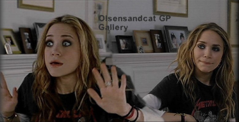 Olsensandcat Gallery